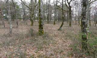 Terrain  2956 m² à vendre à Saint-Paul-Flaugnac (46170)