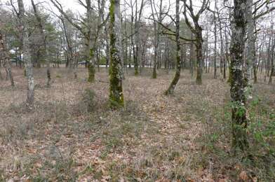 Terrain  51000 €