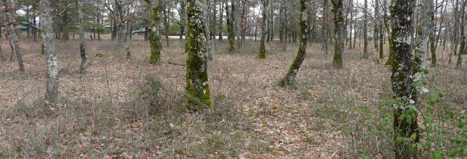 Terrain  2956 m² à vendre à Saint-Paul-Flaugnac (46170)