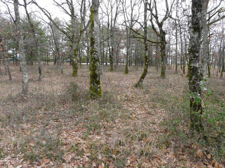 Terrain 3665-Terrain constructible — photo 1