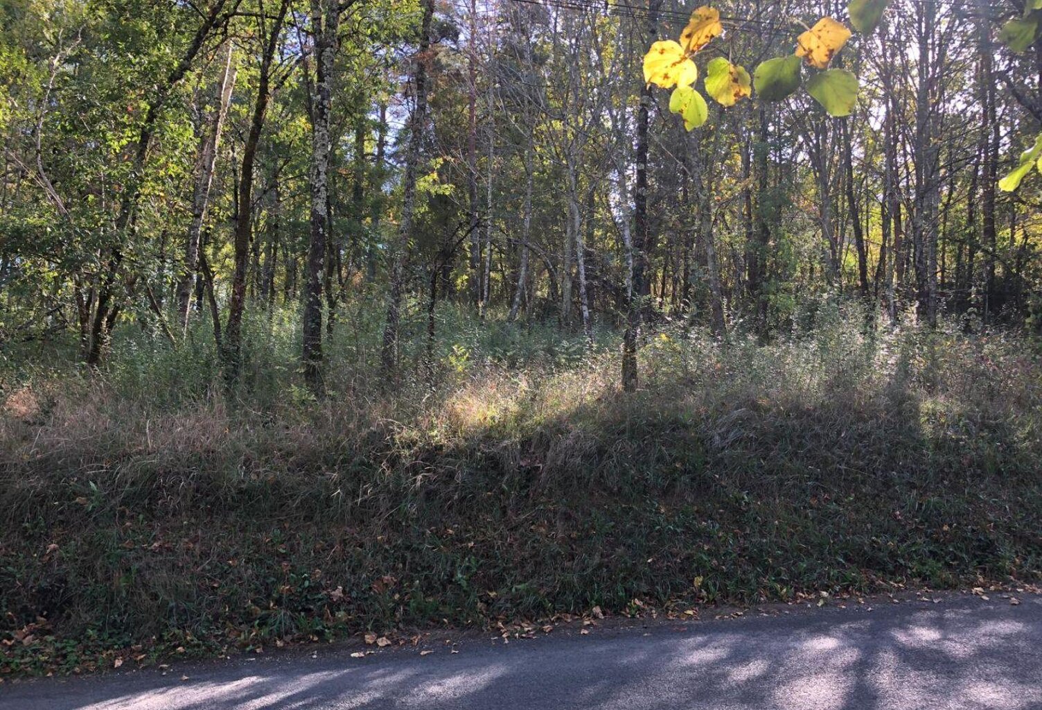 Terrain Proche du village — photo 1