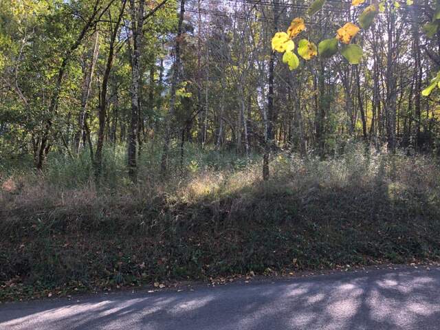 Terrain Proche du village — photo du bien
