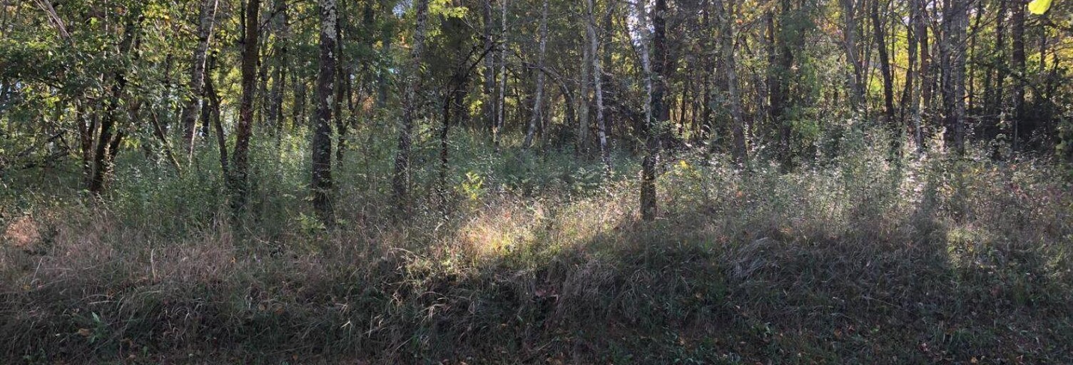 Terrain  2316 m² à vendre à Luzech (46140)
