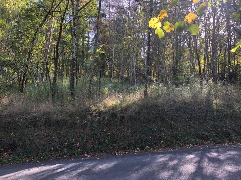 Terrain Proche du village — photo 1