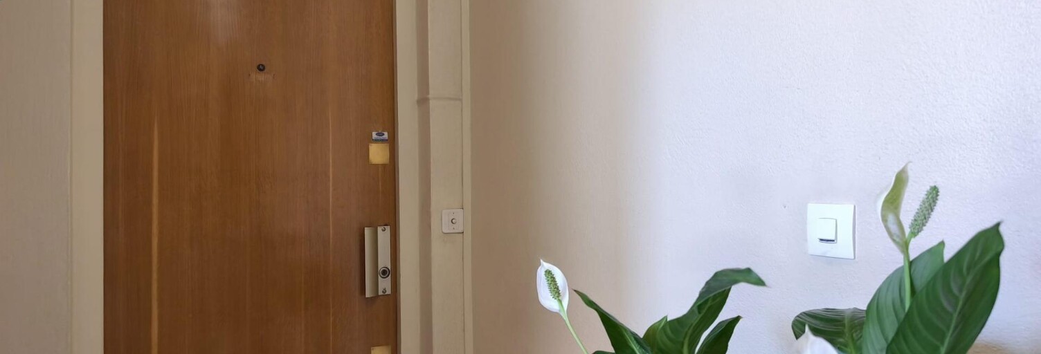 Appartement 3 Pièces 65 m² à vendre à Saint-Étienne (42100)