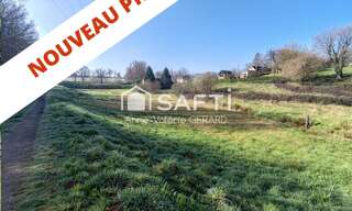 Terrain  8072 m² à vendre à La Dorée (53190)