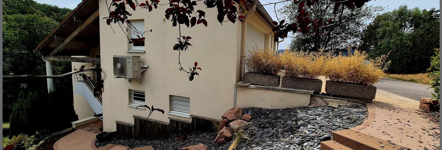 Maison 9 Pièces 225 m² à vendre à Saint-Dié-des-Vosges (88100)