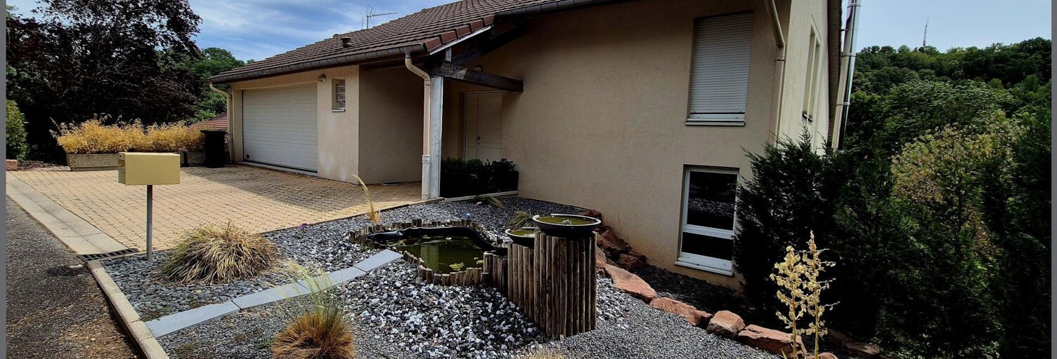 Maison 9 Pièces 225 m² à vendre à Saint-Dié-des-Vosges (88100)