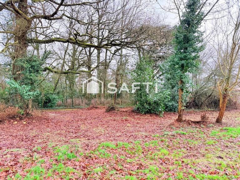 Terrain 11077m2 dont 6647m2 constructibles — photo 1