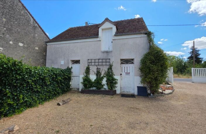 Vente maison 11 pièces 315 m² Meusnes (41130) — photo 4