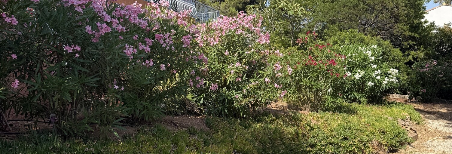 Maison 8 Pièces 240 m² à vendre à Bandol (83150)