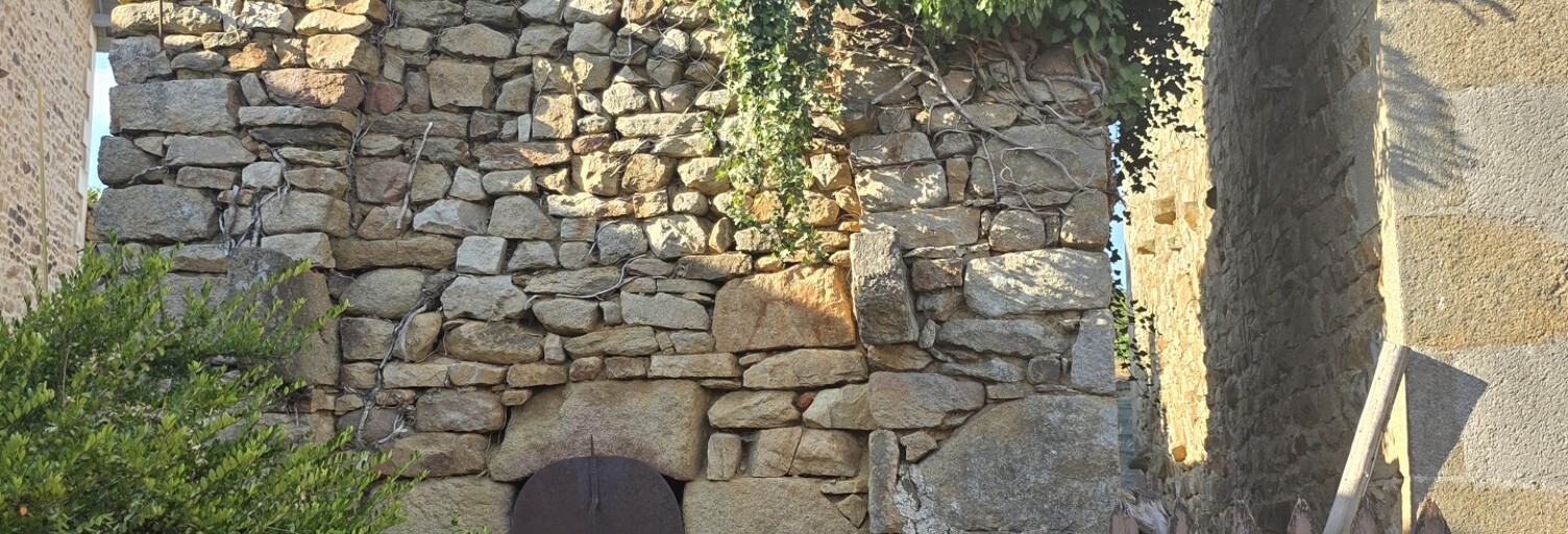 Photo N° 2