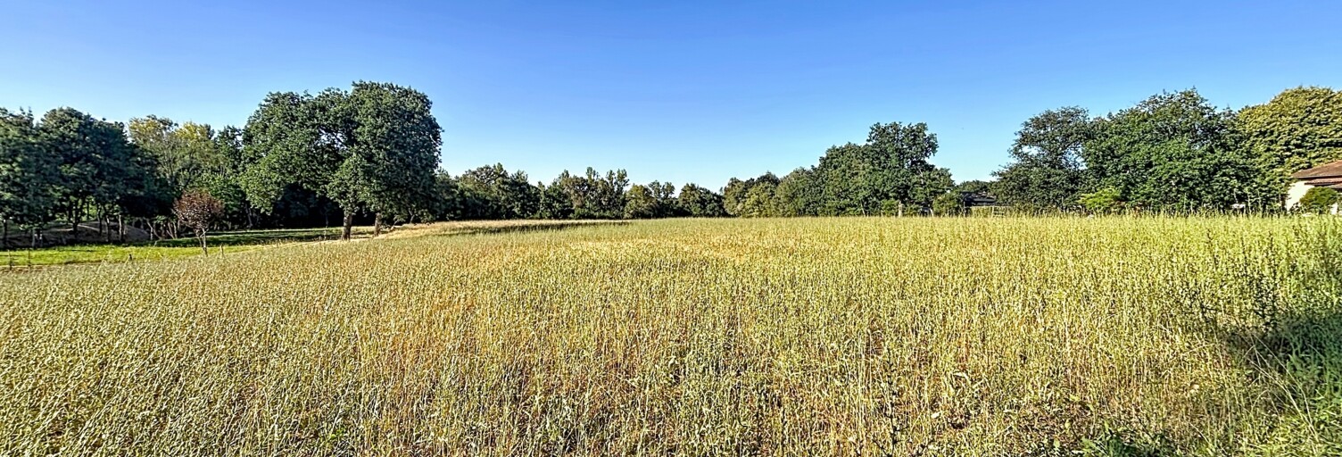 Terrain  11908 m² à vendre à Fleurance (32500)