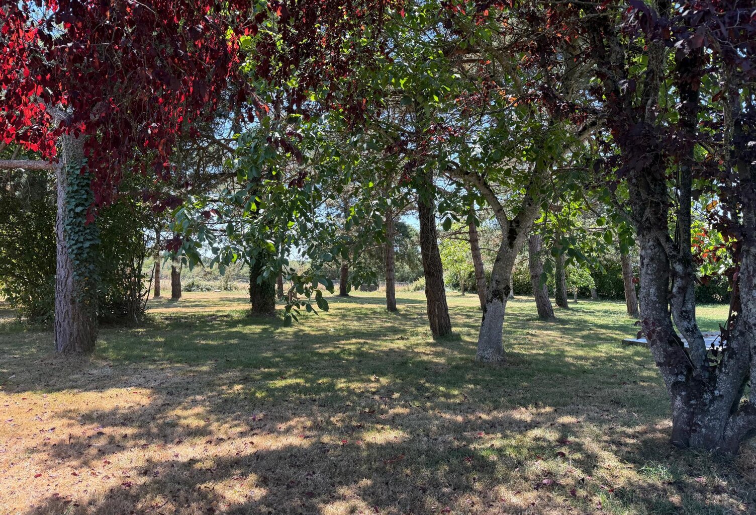 Terrain 1300 m² à Moisdon-la-Rivière (44) — photo 1