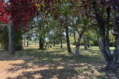 Terrain  63000 €