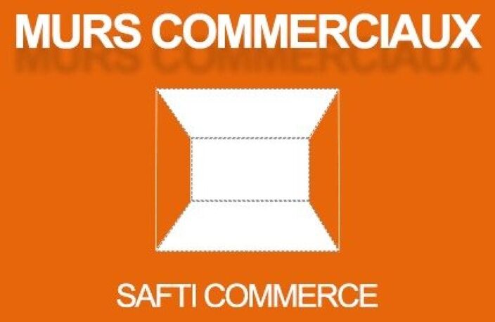 MUR COMMERCIAUX 2500 M2 +5000 M2 TERRAINS — photo 5