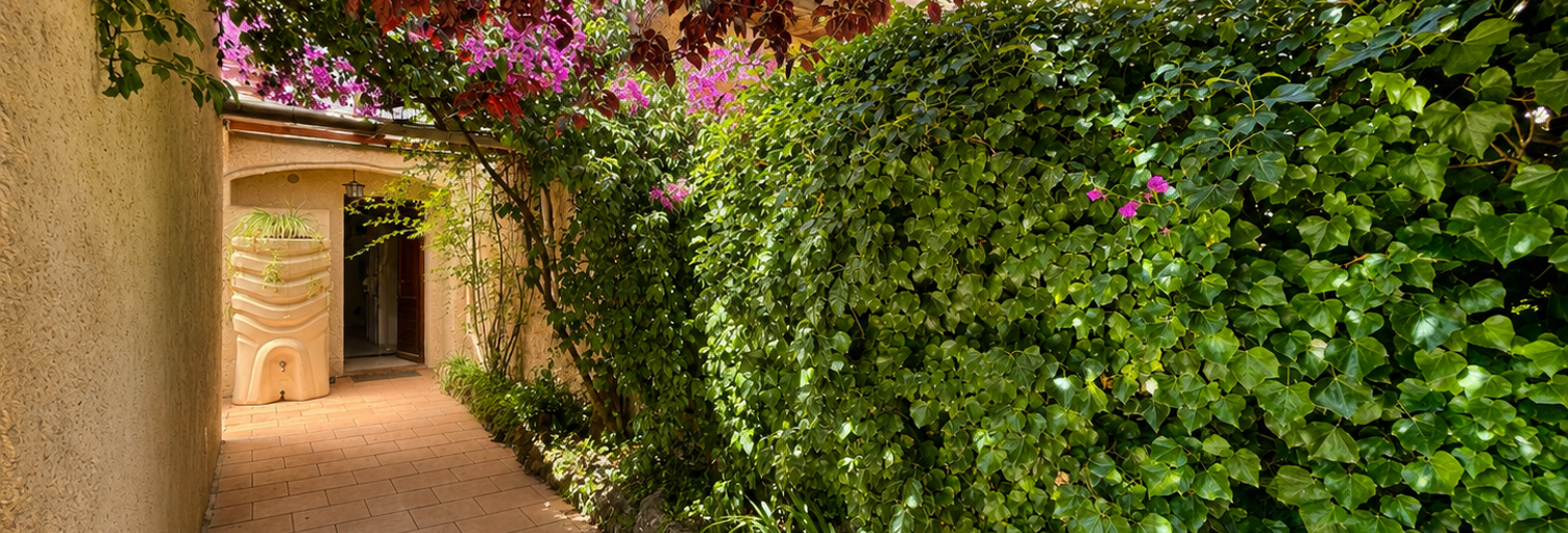 Photo N° 2