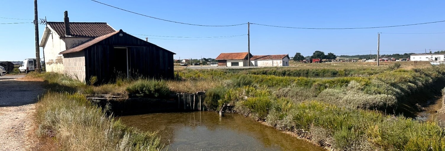 Maison 2 Pièces 100 m² à vendre à Arvert (17530)