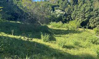 Terrain  901 m² à vendre à Le Tampon (97430)