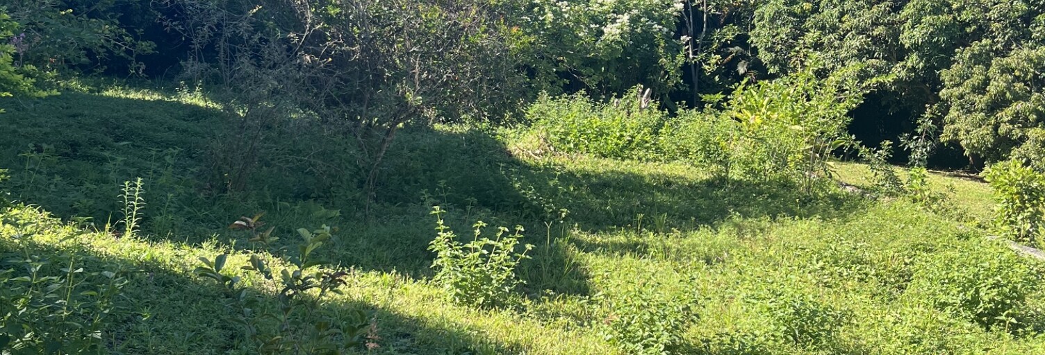 Terrain  901 m² à vendre à Le Tampon (97430)