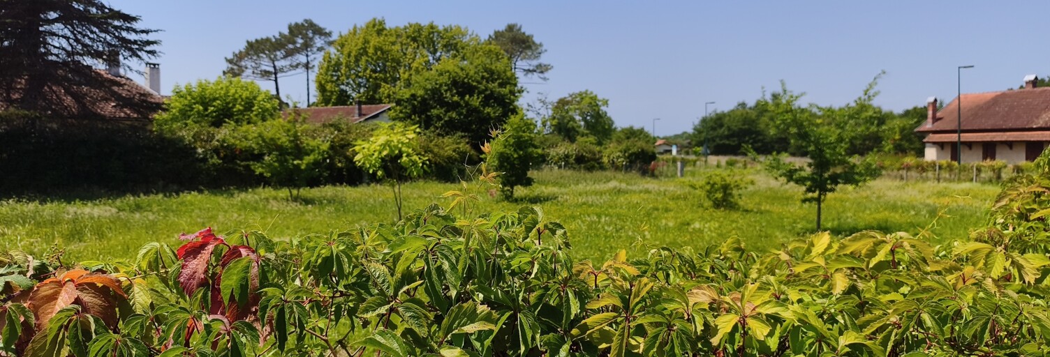 Terrain  1980 m² à vendre à Aureilhan (40200)