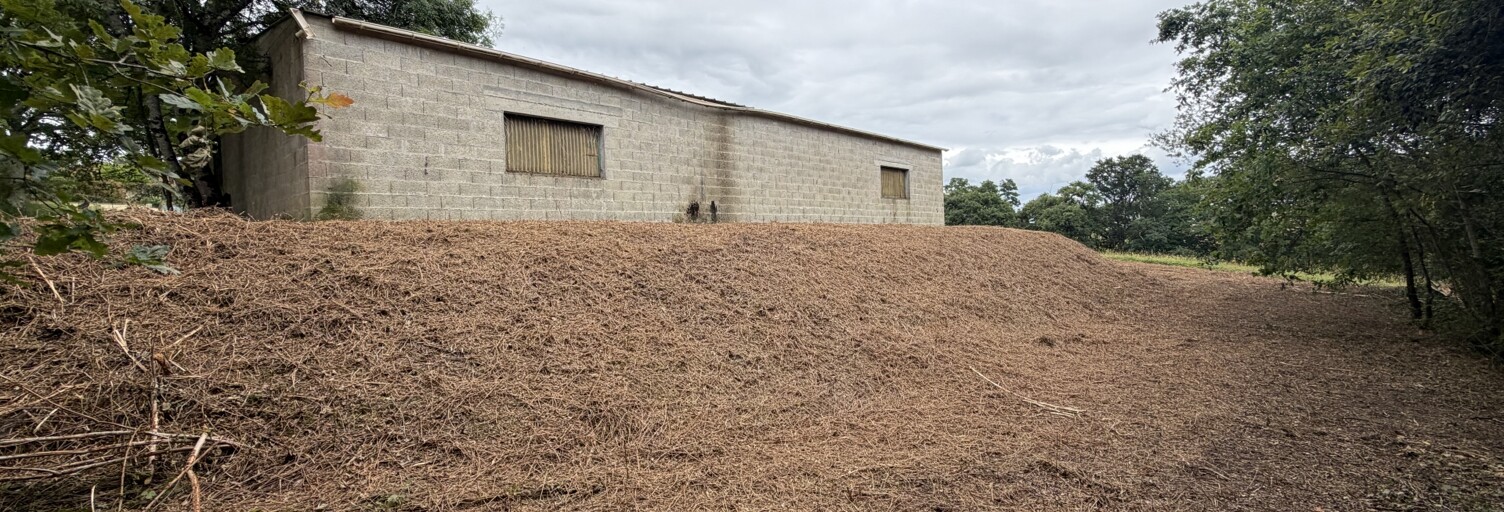 Terrain  2356 m² à vendre à Banos (40500)