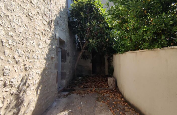 T4 — photo 2