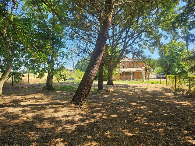 Villeneuve-lès-Bouloc ? Authentique toulousaine de caractère ? 6 pièces ? 175 m² — photo du bien