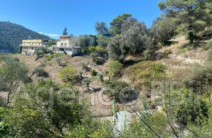 vente terrain — photo 3