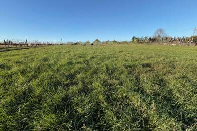 Terrain  120000 €