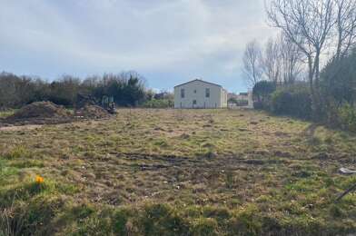 Terrain  101000 €