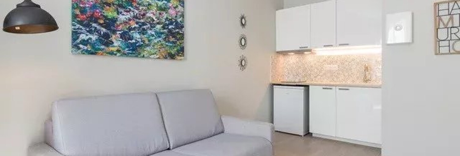 Appartement 1 Pièce 19 m² à louer à Lyon 7 (69007)