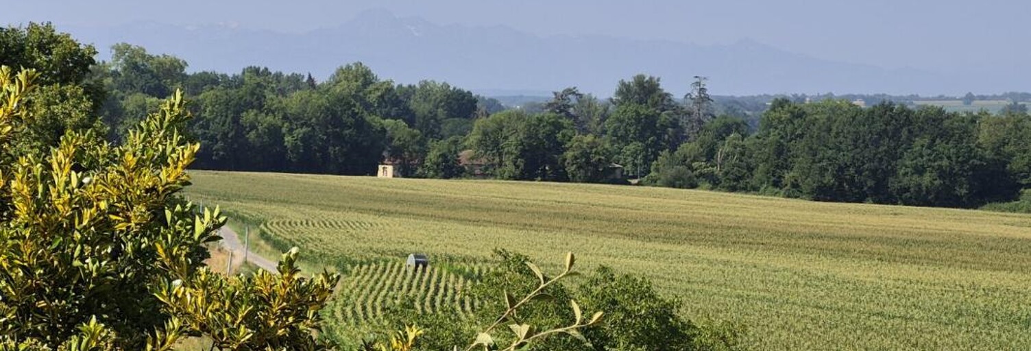Photo N° 2