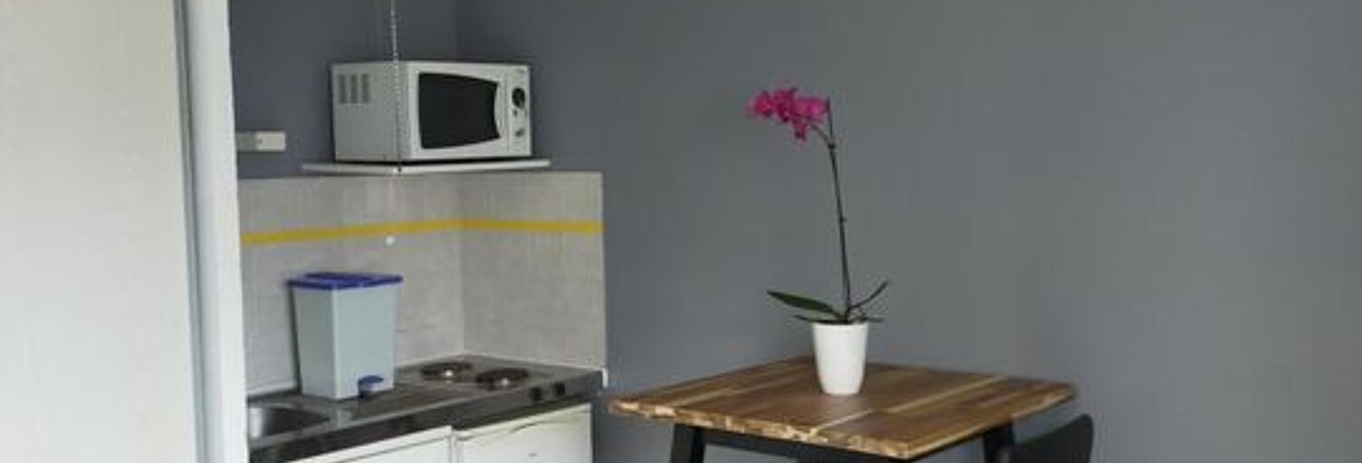 Appartement 1 Pièce 19 m² à louer à Saint-Étienne (42000)
