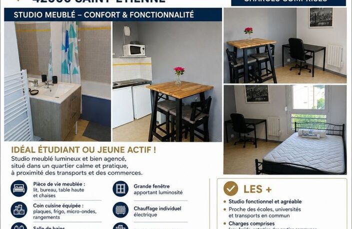 Studio de 19m2 à louer sur Saint-Étienne — photo 5