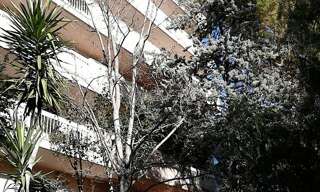 Appartement 2 Pièces 28 m² à louer à Montpellier (34000)