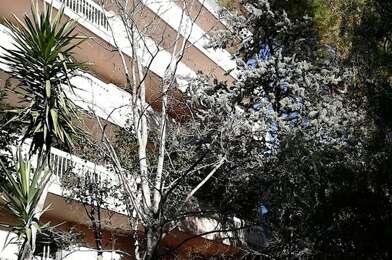 Appartement 2 pièces 800 €