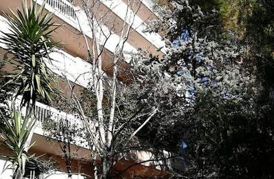 Appartement de 28m2 à louer sur Montpellier — photo du bien