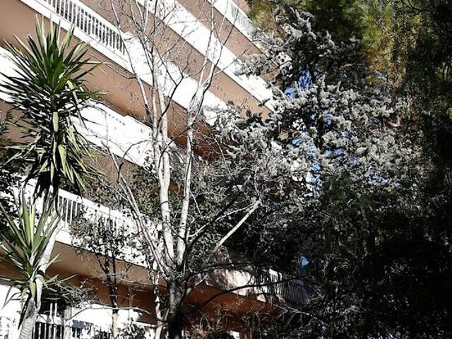 Appartement de 28m2 à louer sur Montpellier — photo du bien