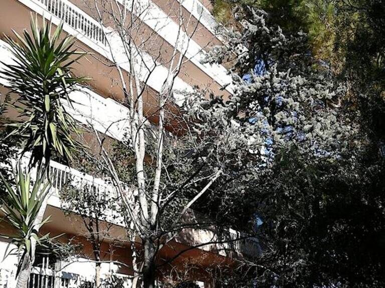 Appartement de 28m2 à louer sur Montpellier — photo 1