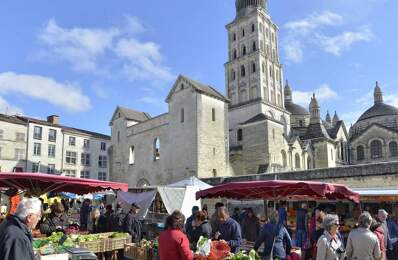 Studio de 18m2 à louer sur Périgueux — photo du bien