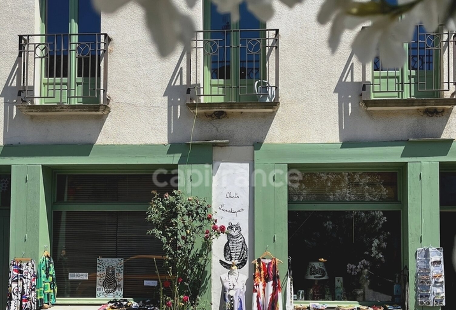 "Chat"-oyante maison d'hôtes, 10 pièces, 8 chambres, avec jardin clos, à quinze minutes de MARCIAC, MIRANDE ET VIC-FEZENSAC (32) — photo 1