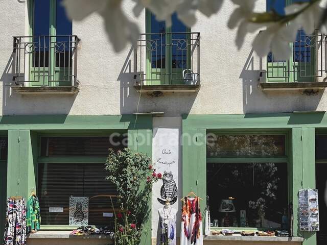 "Chat"-oyante maison d'hôtes, 10 pièces, 8 chambres, avec jardin clos, à quinze minutes de MARCIAC, MIRANDE ET VIC-FEZENSAC (32) — photo du bien