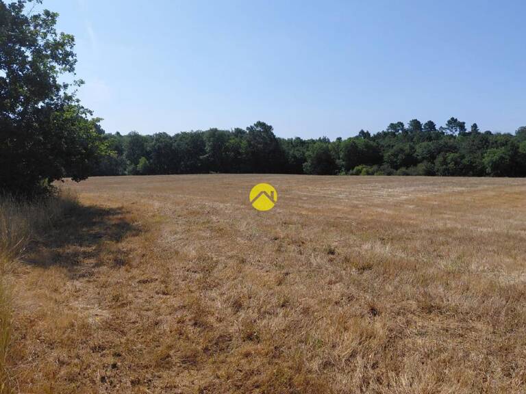BELLE Terrain agricole — photo 1