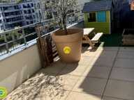 appartement — photo 2