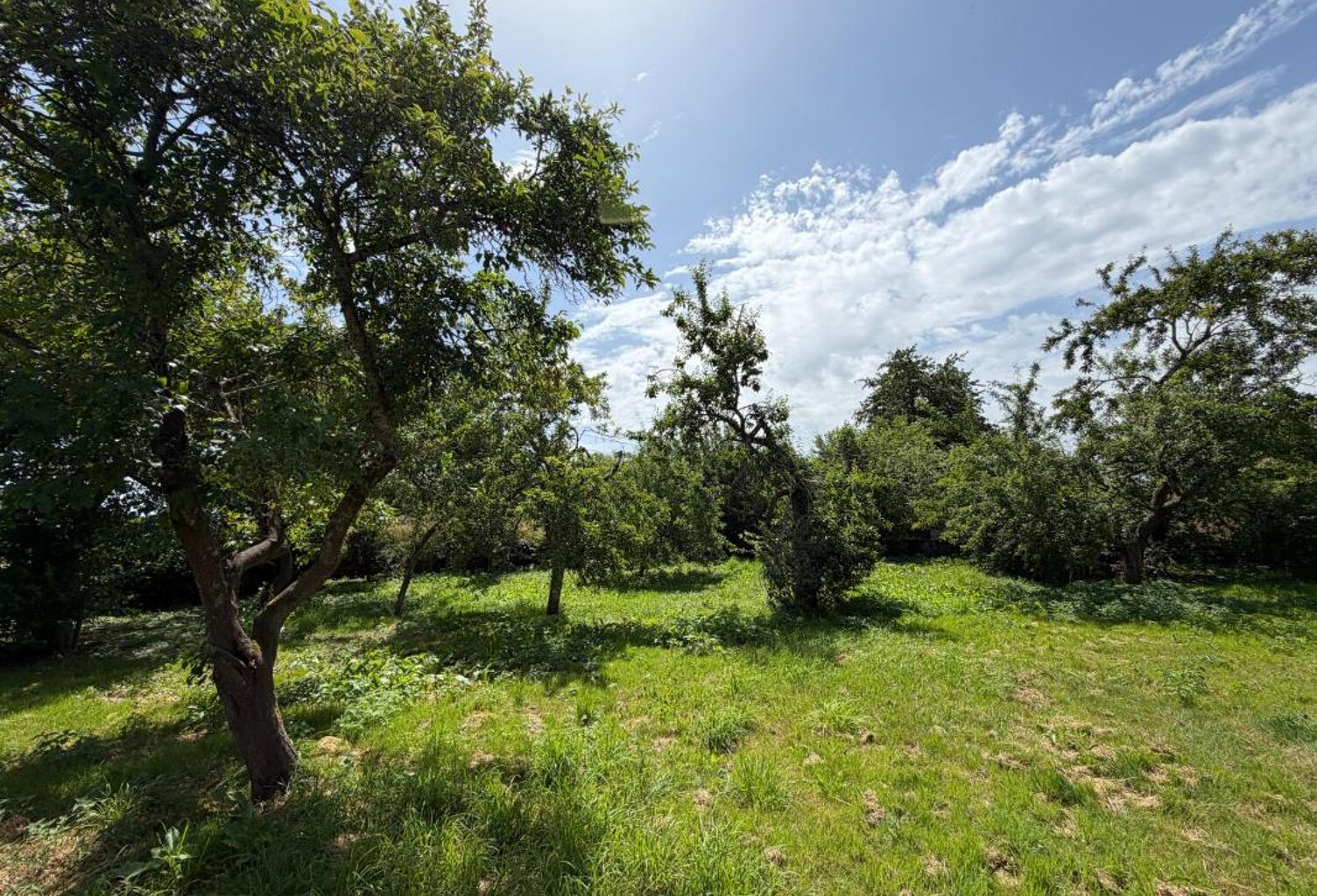 ST LUBIN DE LA HAYE (28) - Terrain à bâtir - 478m² — photo 1