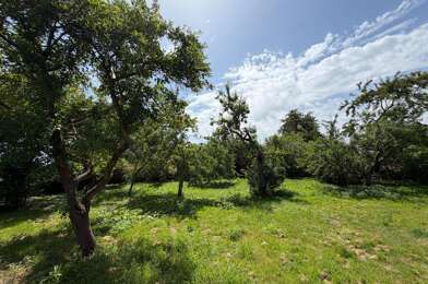 Terrain  90000 €