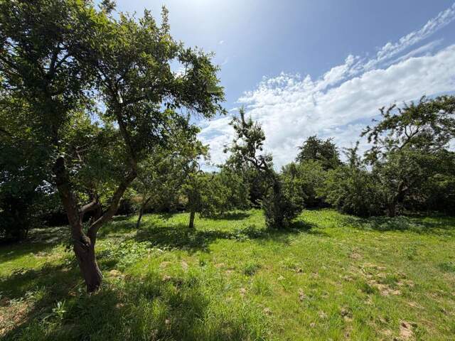 ST LUBIN DE LA HAYE (28) - Terrain à bâtir - 478m² — photo du bien