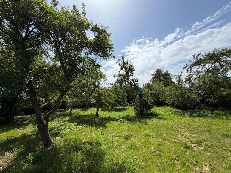 ST LUBIN DE LA HAYE (28) - Terrain à bâtir - 478m² — photo 1