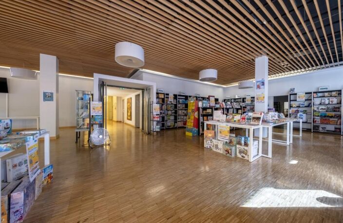 Immeuble - 4 779 m² - Toulouse (31) — photo 5